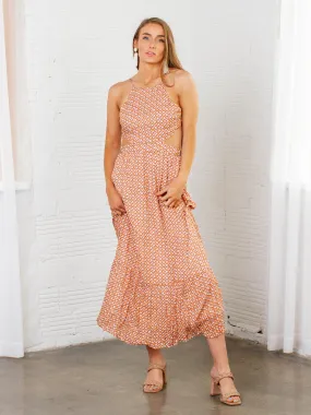 Mink Pink Vita Backless Maxi Dress